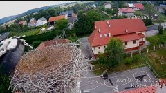 2024-07-13 22_54_49-Gniazdo bocianie _Kostek i Rika_ - Podkarpacie Kostarowce - YouTube – Maxthon.jpg