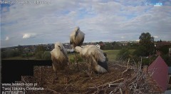 IMG_4827.jpeg