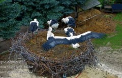 IMG_4517.jpeg