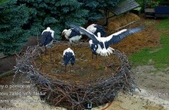 IMG_4518.jpeg