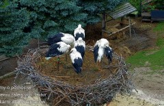 IMG_4609.jpeg