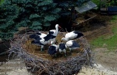 IMG_4659.jpeg