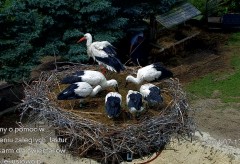 IMG_4662.jpeg