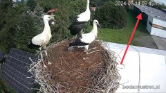 IMG_5070.jpeg
