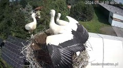IMG_5074.jpeg