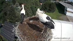 IMG_5075.jpeg