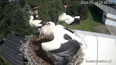 IMG_5076.jpeg