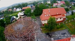 2024-07-14 19_50_54-Gniazdo bocianie _Kostek i Rika_ - Podkarpacie Kostarowce - YouTube – Maxthon.jpg