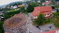 2024-07-14 20_01_54-Gniazdo bocianie _Kostek i Rika_ - Podkarpacie Kostarowce - YouTube – Maxthon.jpg
