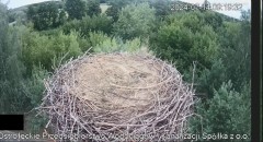 2024-07-14 22_08_00-20240714_153536.mp4 ‎- Zdjęcia.jpg