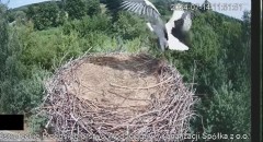 2024-07-14 22_08_38-20240714_153536.mp4 ‎- Zdjęcia.jpg