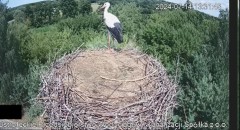 2024-07-14 22_08_44-20240714_153536.mp4 ‎- Zdjęcia.jpg