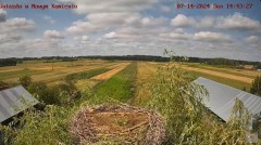 2024-07-14 22_39_36-Bociany w Nowym Kamieniu kam.3 - YouTube – Maxthon.jpg