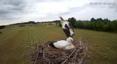 IMG_5483.jpeg