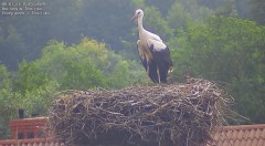 IMG_5553.jpeg