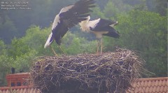 IMG_5554.jpeg