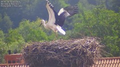 IMG_5560.jpeg