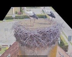 IMG_5372.jpeg