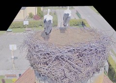 IMG_5517.jpeg