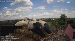 IMG_5437.jpeg