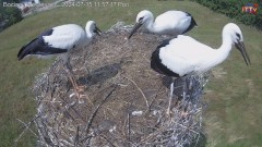 IMG_5385.jpeg