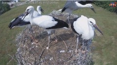 IMG_5386.jpeg