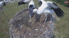 IMG_5387.jpeg