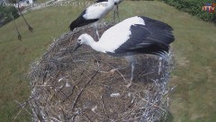 IMG_5391.jpeg