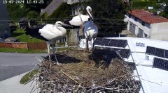 IMG_5442.jpeg