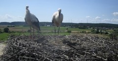 IMG_5359.jpeg