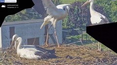 IMG_3247.jpeg