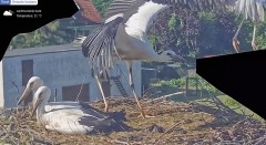 IMG_3252.jpeg