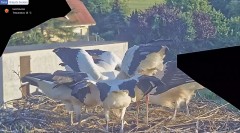 IMG_5592.jpeg