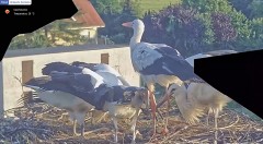 IMG_5593.jpeg