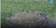 IMG_5581.jpeg