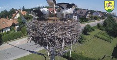 IMG_5401.jpeg