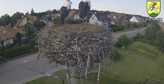 IMG_5542.jpeg