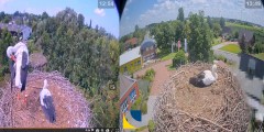bandicam 2024-07-15 22-01-51-219.jpg