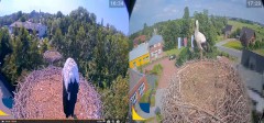 bandicam 2024-07-15 22-02-18-694.jpg