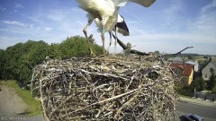 IMG_5687.jpeg
