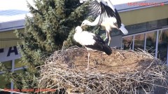 IMG_5718.jpeg