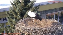 IMG_5719.jpeg