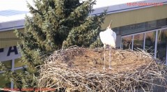 IMG_5720.jpeg