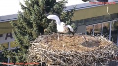 IMG_5741.jpeg