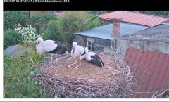 bandicam 2024-07-16 19-38-16-395.jpg