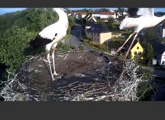 bandicam 2024-07-16 19-48-59-453.jpg