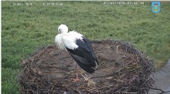 IMG_5930.jpeg