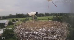 IMG_5944.jpeg