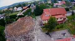 2024-07-16 21_15_40-Gniazdo bocianie _Kostek i Rika_ - Podkarpacie Kostarowce - YouTube – Maxthon.jpg