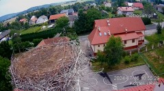 2024-07-16 21_15_43-Gniazdo bocianie _Kostek i Rika_ - Podkarpacie Kostarowce - YouTube – Maxthon.jpg